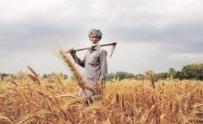 Agriculture in India