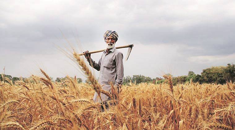 Agriculture in India
